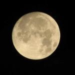 Fly me to the Moon
